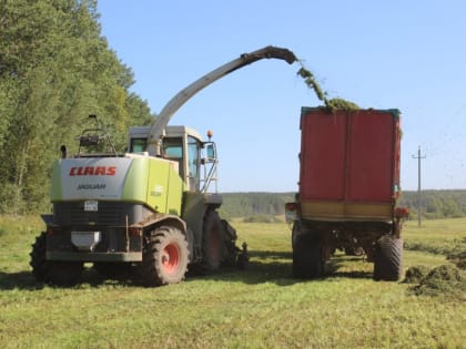 С Днем работников сельского хозяйства!