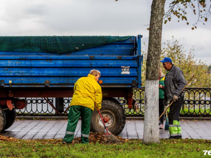 Ищут по деревням: в Ярославле не хватает рабочих для уборки города
