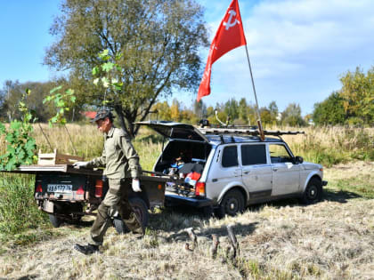 В Ярославле посадили молодые клёны