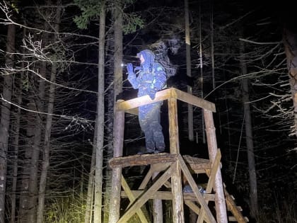 «Как ты выжил?»: в Ярославской области грибник провел в лесу четыре дня во время заморозков