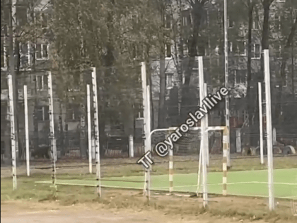 По соседству с третьей гимназией Ярославля школьники заметили медведя