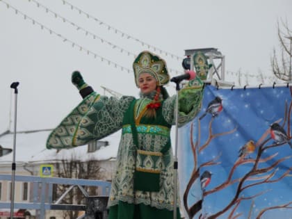 Новый проект «Дни районов и городских округов» стартовал в Ярославской области
