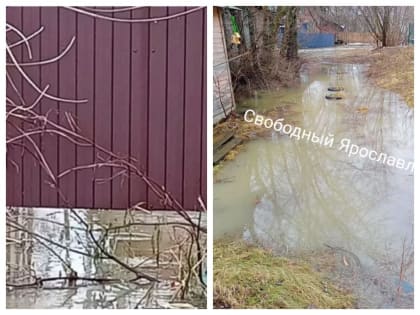 В Ярославле частные дома затопило в январе