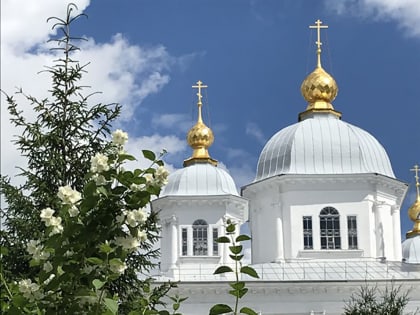 НАС ГОНЯТ В КРАЙ ДАЛЕКИЙ…