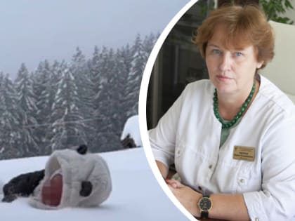 «Он мог его просто убить»: педиатр рассказала, можно ли подбрасывать младенцев