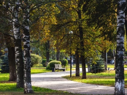 Осенние козы и горы золота: солнечный сентябрь захватил Ярославль. 10+ фото