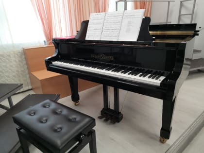 Ярославская детская школа искусств № 10 получила новые музыкальные инструменты