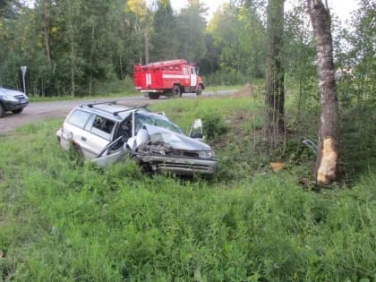 Под Угличем иномарка врезалась в дерево: двое пострадавших