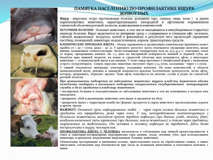 О мерах по профилактике ящура  