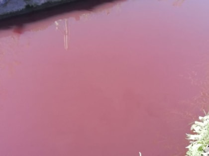 Жители Резинотехники требуют вмешательства губернатора в экологическую проблему