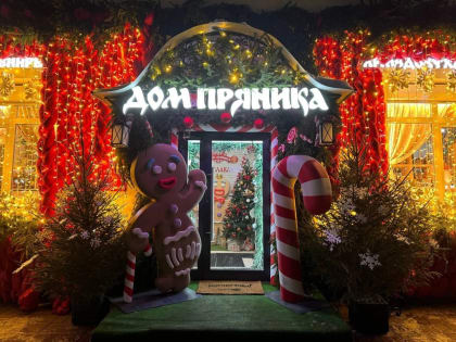 Более 200 заявок подано на участие в областном конкурсе на лучшее новогоднее оформление зданий