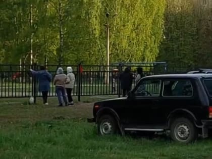 В Ярославле собак отпускают на самовыгул на школьную спортплощадку