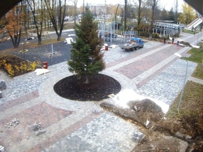 В Ярославле отменили новогодние торжества в брагинском парке