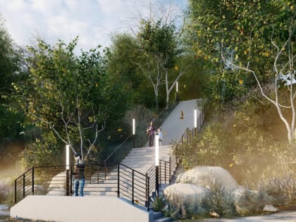 Белкам будет светло: в Ярославле объявлен аукцион на благоустройство Павловской рощи