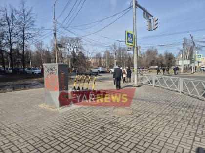 На улицы Ярославля вернулись электросамокаты