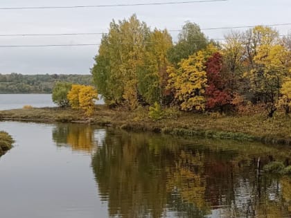 Будет "умеренно" тепло, но дождливо: какую погоду ждать ярославцам в первую неделю октября