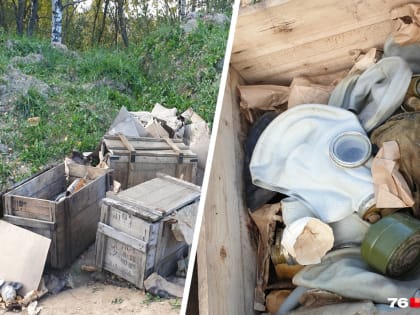 «Клад для сталкеров»: в поле под Ярославлем развалили ящики с противогазами. Видео