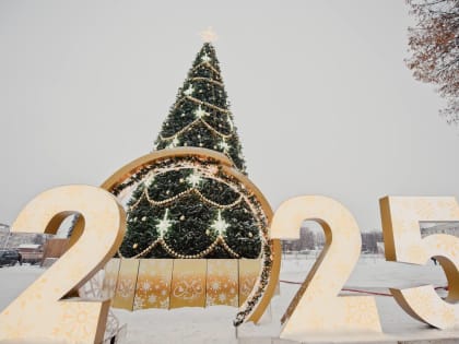 Посвященные Рождеству мероприятия пройдут во всех городах и районах Ярославской области