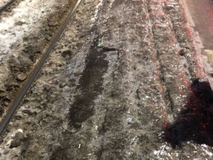 «Хотите перелом – вам сюда»: ярославцы в ужасе от состояния остановок