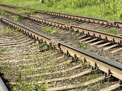 Проект новых трамвайных путей в Ярославле прошел госэкспертизу