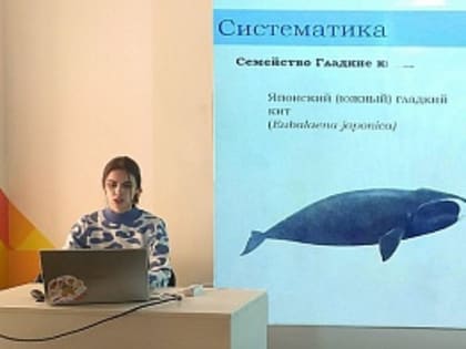 В Точке Кипения ЯрГУ провели научный семинар в честь Всемирного дня защиты морских млекопитающих