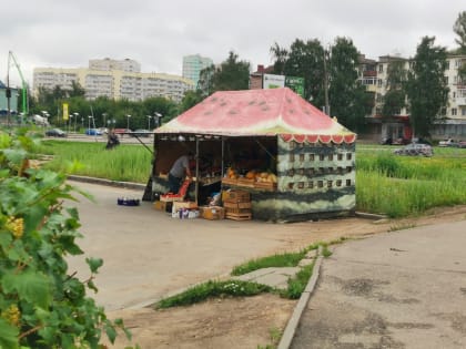 В Ярославле палатку с фруктами разместили прямо на проезжей части