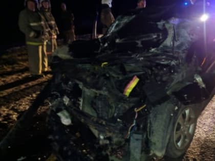 В Некрасовском районе столкнулись трактор и иномарка: погиб мужчина