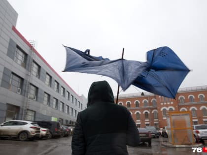 «Экспансия зимы резко ускорится»: синоптики и МЧС предупредили о ветрище и дожде в Ярославле