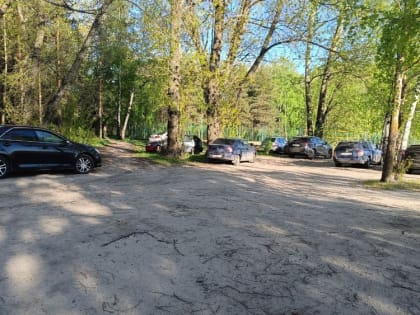 Ярославцы требуют убрать автомобили из парковой зоны в Подзеленье