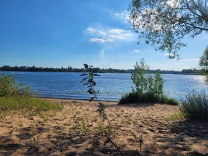 Все пляжи Ярославля снова закрыты для купания