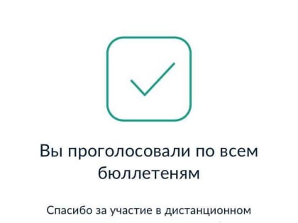 В Ярославской области обнародовали итоги дистанционного электронного голосования