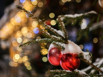 Поздравление главы города Рыбинска Дмитрия Рудакова с Новым годом