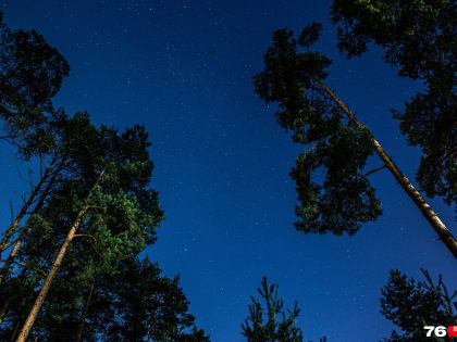 Наступила пора звездопадов: полюбуйтесь ночным небом над Ярославлем. Фото