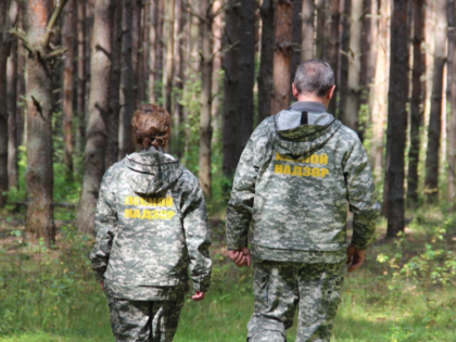 Количество незаконных рубок в Ярославской области снизилось в полтора раза