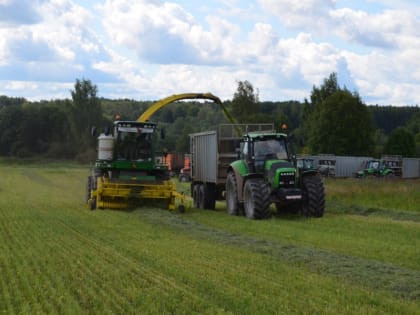 Ярославские аграрии заготовили около 700 тысяч тонн кормов