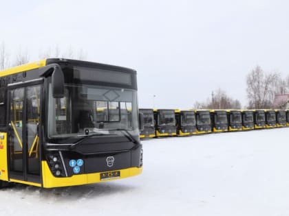 На городские и пригородные маршруты во 2 квартале выйдут новые желтые автобусы