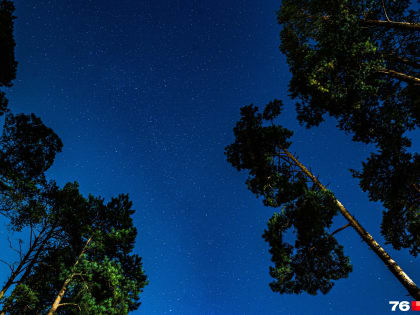 Космические стражи: ученый из Ярославля сфотографировал галактику Сигара, ближайшую к нашей