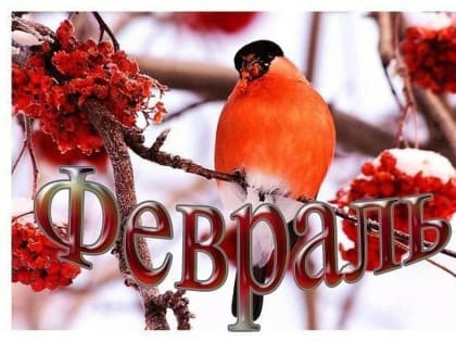 График выездных дней донора на февраль 2024 года