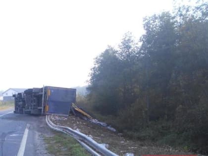 В Ярославской области опрокинулась фура: пострадал водитель