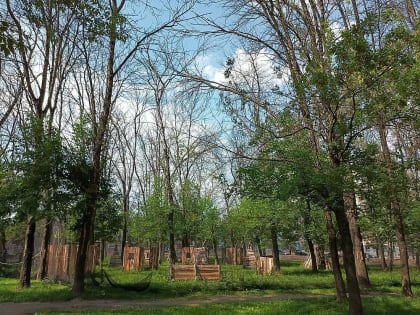 В Юбилейном парке Ярославля будут омолаживать деревья