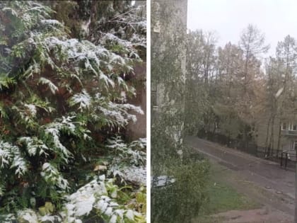 «Не рановато ли?»: в Ярославле выпал первый снег. Видео