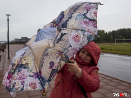 «Охватила зона штормовых ветров»: синоптики предупредили об ухудшении погоды в Ярославской области