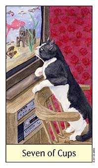 Seven of Cups