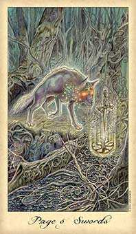 Page of Swords