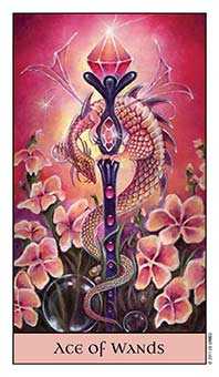 Ace of Wands