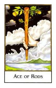 Ace of Rods (Wands)