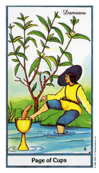 Page of Cups
