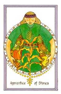 Apprentice of Stones (Coins)