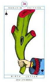 Ace of Clubs (Wands)