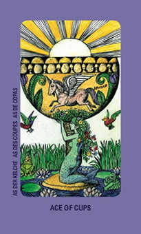 Ace of Cups